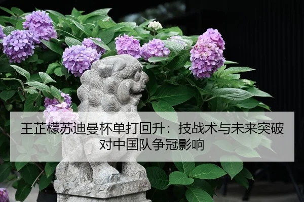 wang-zhi-meng-su-di-man-bei-dan-da-hui-sheng-ji-zhan-shu-yu-wei-lai-tu-po-dui-zhong-guo-dui-zheng-guan-ying-xiang-2-909.jpg